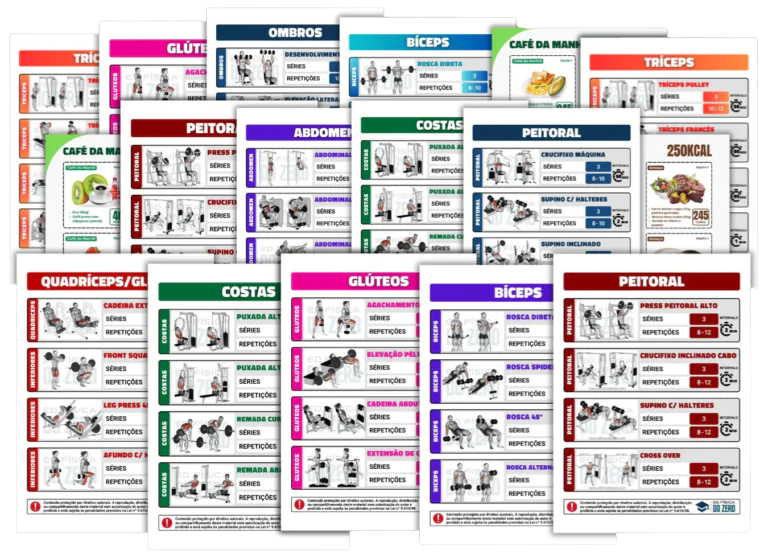 Fichas de treino completas